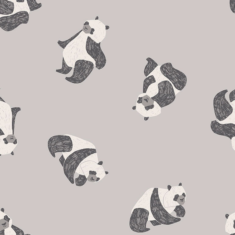 New Here - Pandas in Fog