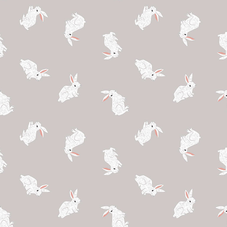 New Here - Bunnies in Fog