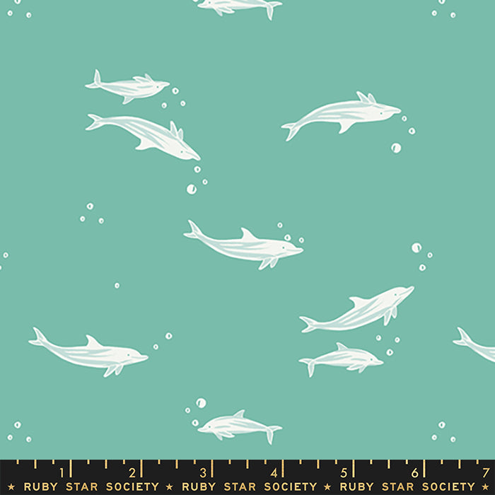 Florida Volume 2 - Dolphins in Water