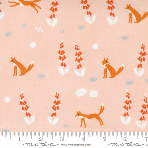 Meander - Foxes in Blush