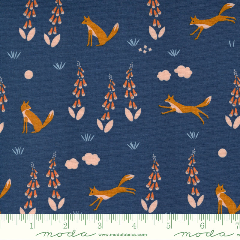 Meander - Foxes in Navy